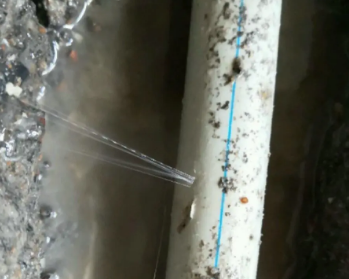 沽源卫生间测漏水多少钱